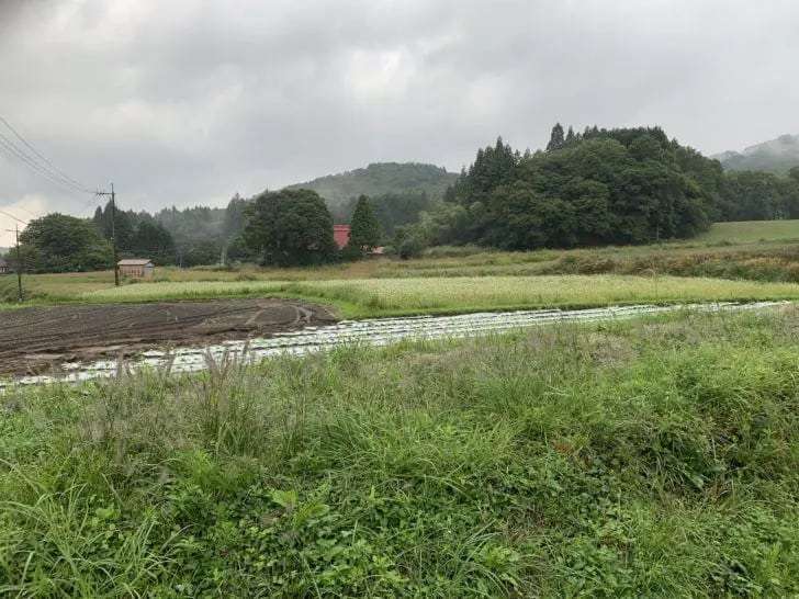 蒜山手打ちそば 叉来(またぎ)5