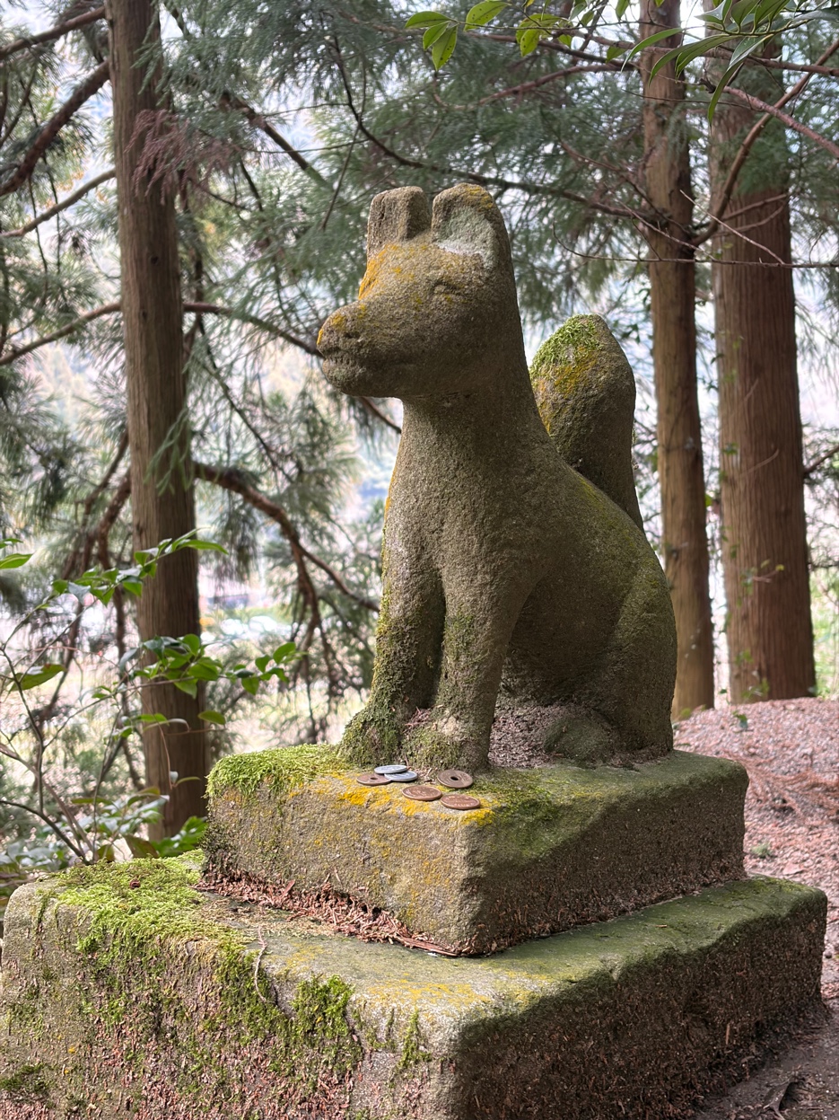 金持神社の苔むした狛犬