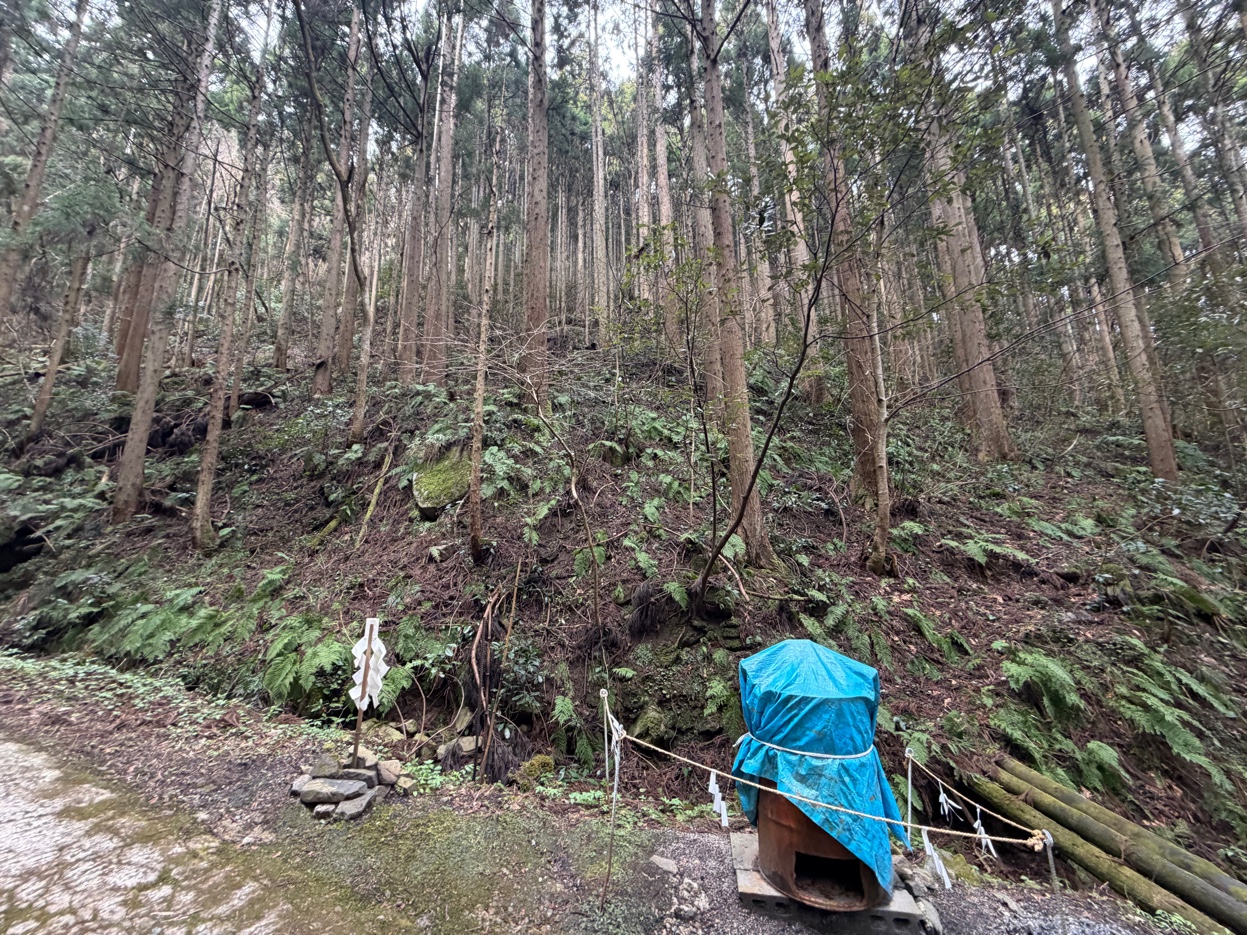 金持神社の境内奥の風景