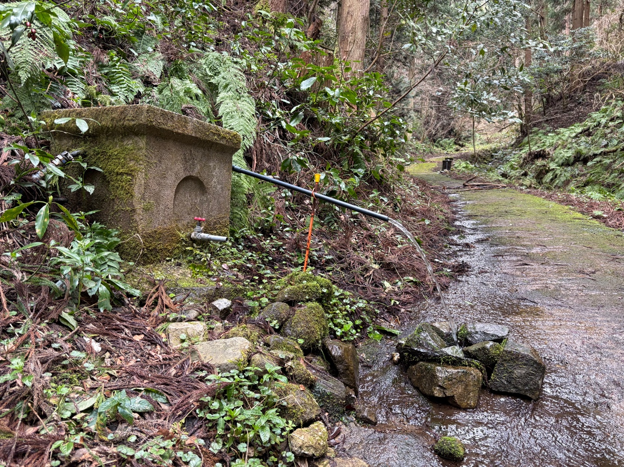 金持神社の境内の石灯籠と小道