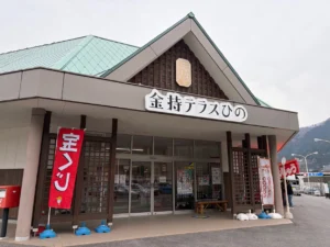 金持テラスひのの外観