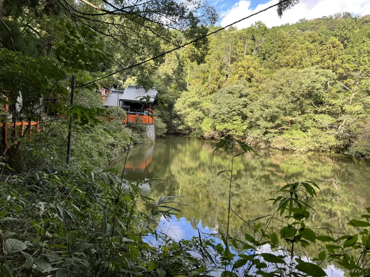 伏見稲荷大社の池と緑