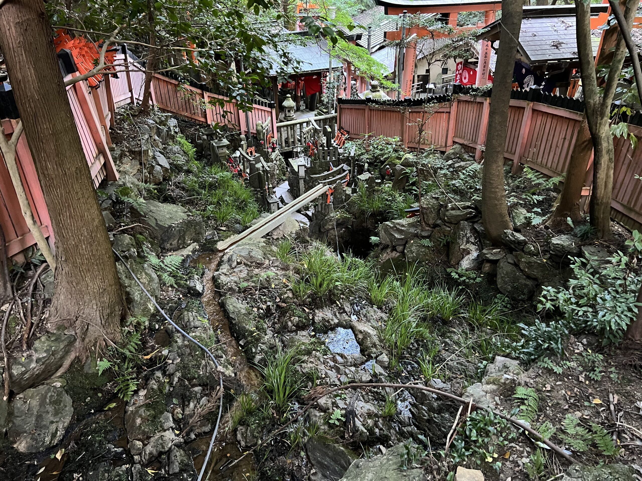 伏見稲荷大社・御劔社周辺の水場