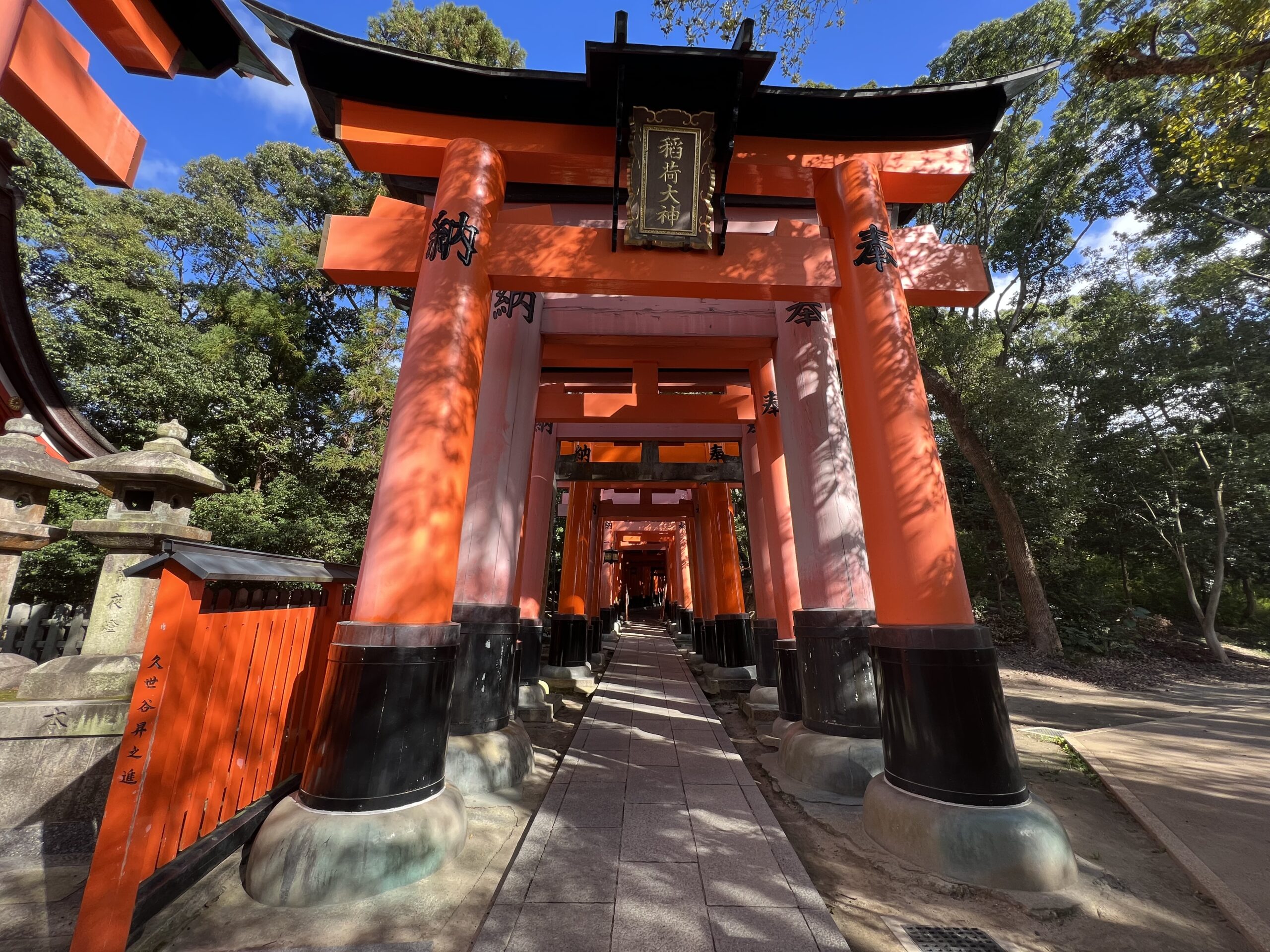伏見稲荷大社の千本鳥居