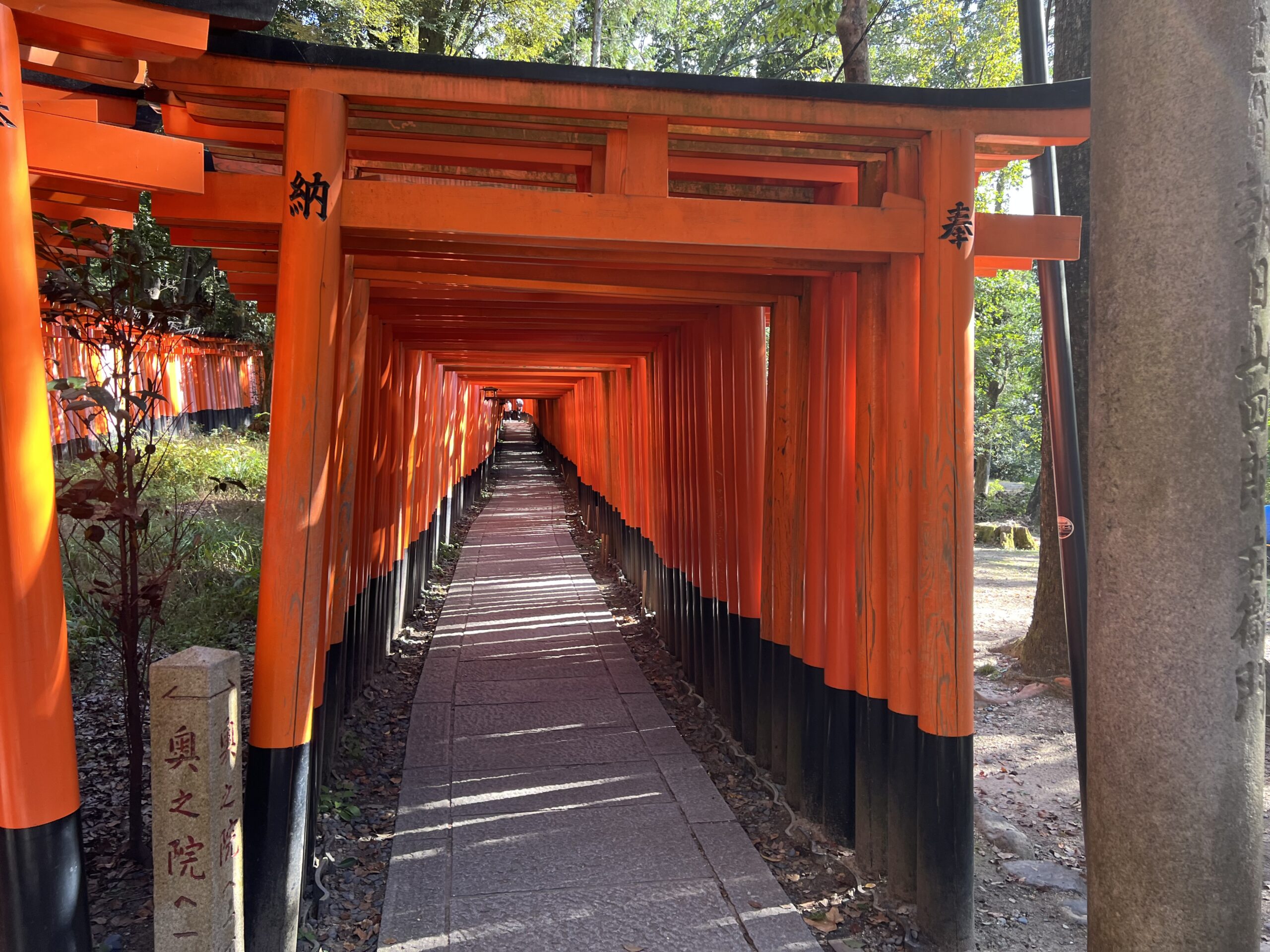 伏見稲荷大社の千本鳥居・奥社方面