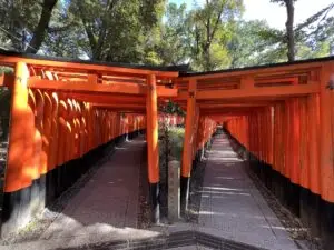 伏見稲荷大社の千本鳥居二股