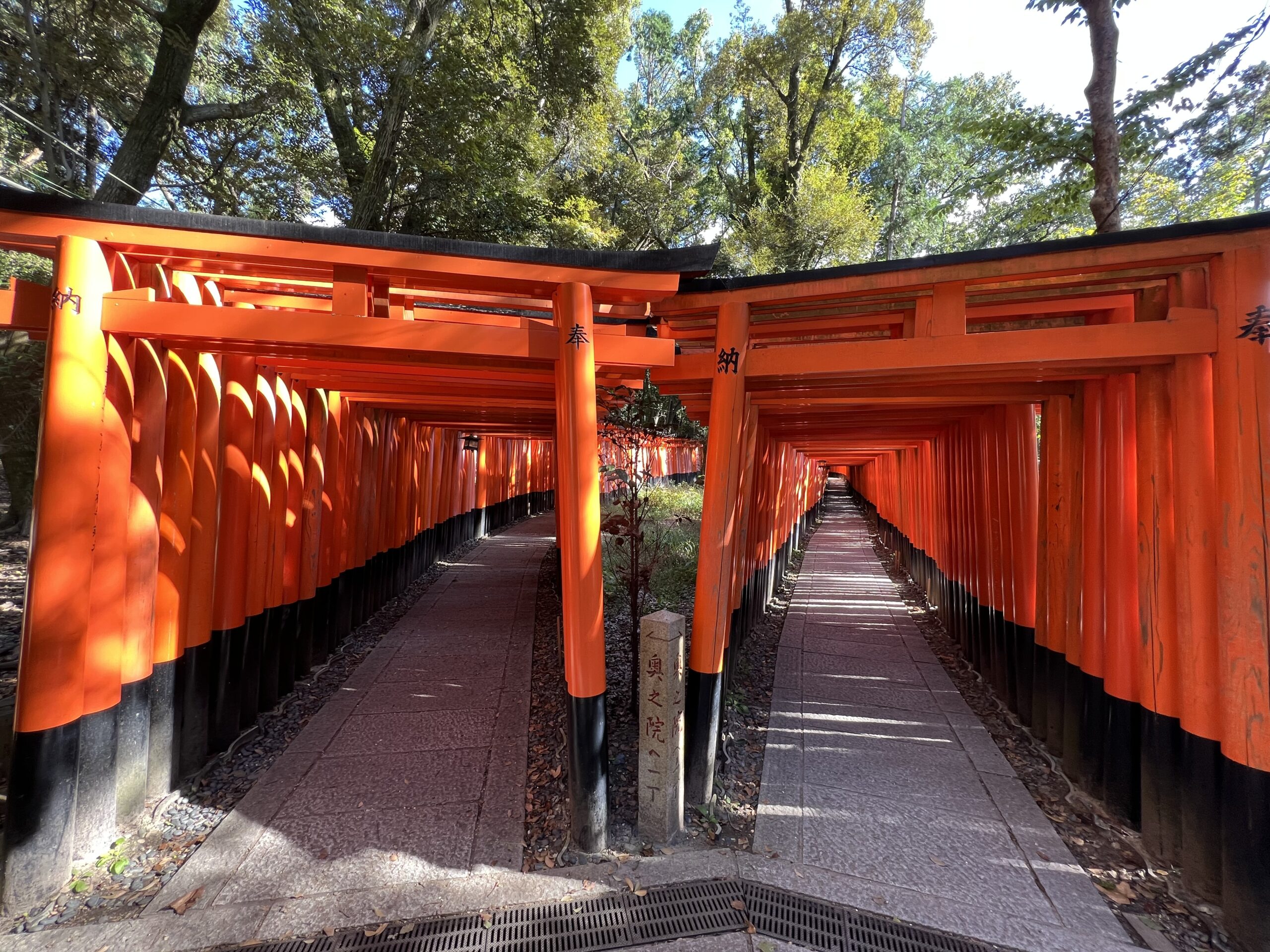 伏見稲荷大社の千本鳥居二股