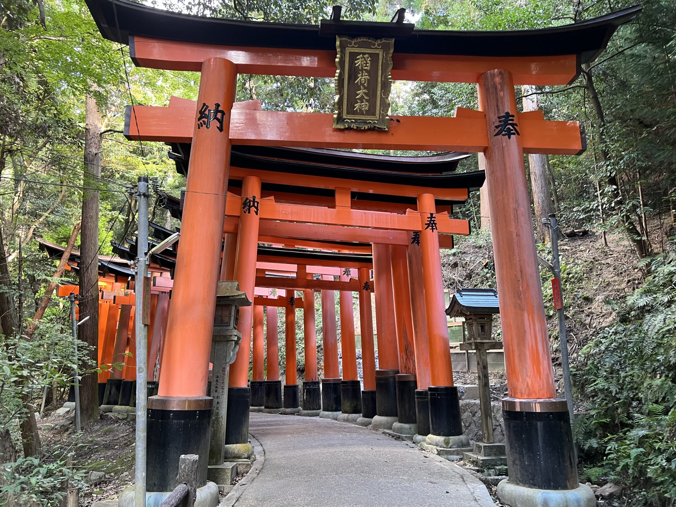 伏見稲荷大社の千本鳥居深部