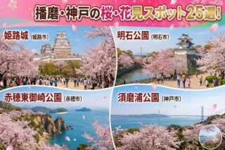 桜・花見スポット比較ガイドの表紙