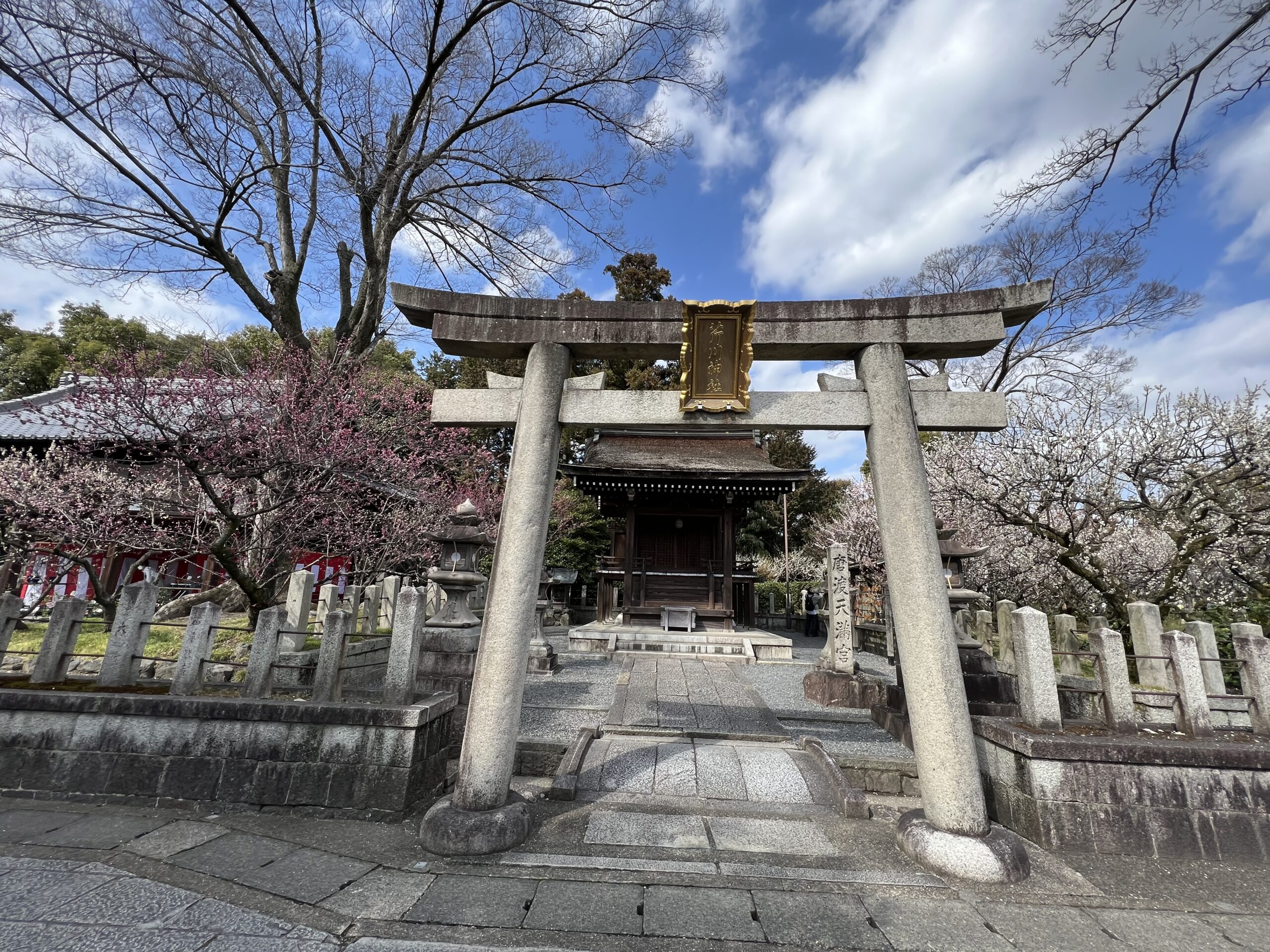 城南宮の外観・鳥居