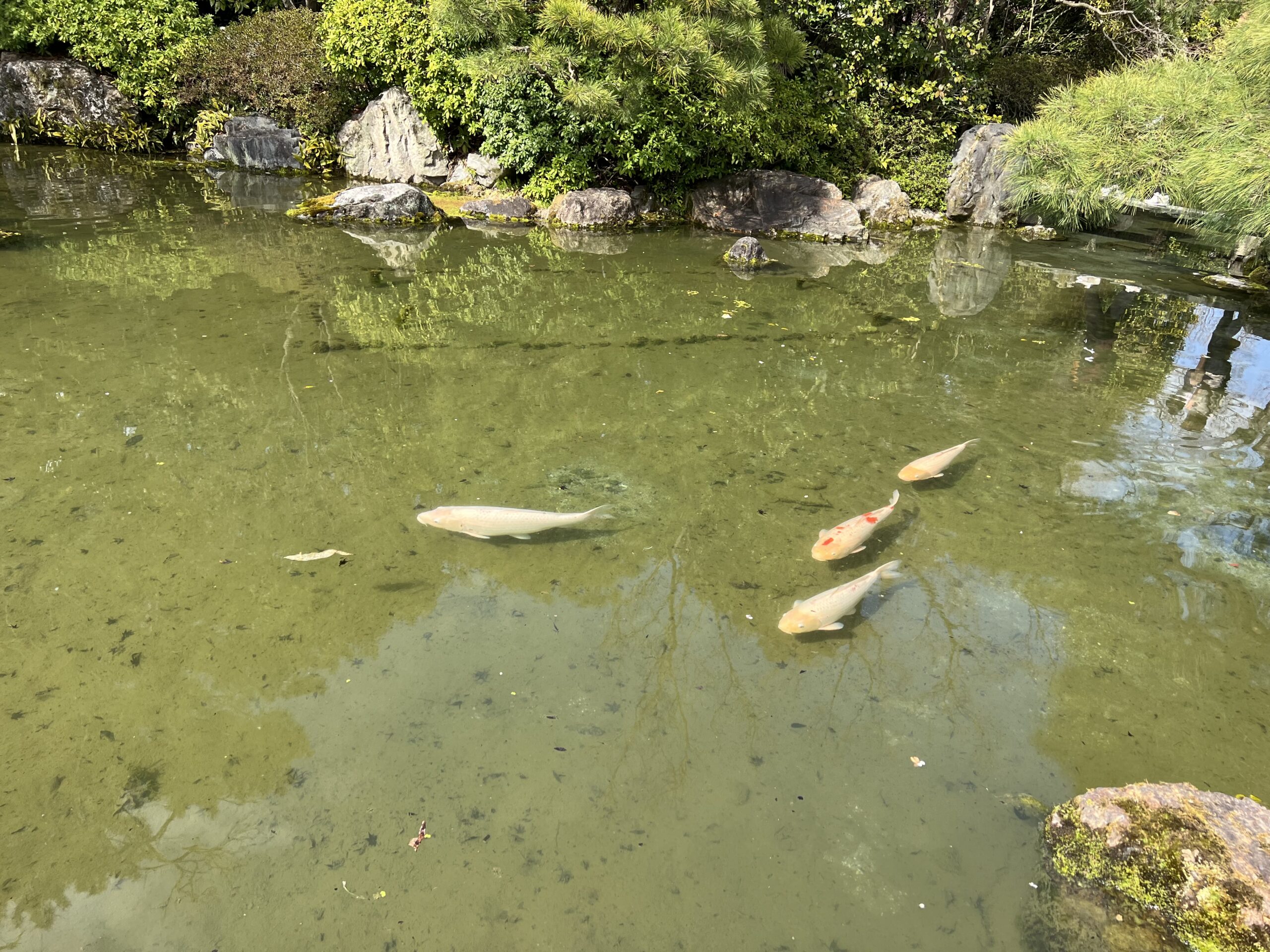 城南宮の庭園と池