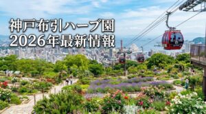 神戸布引ハーブ園のハーブガーデンと神戸の街並み