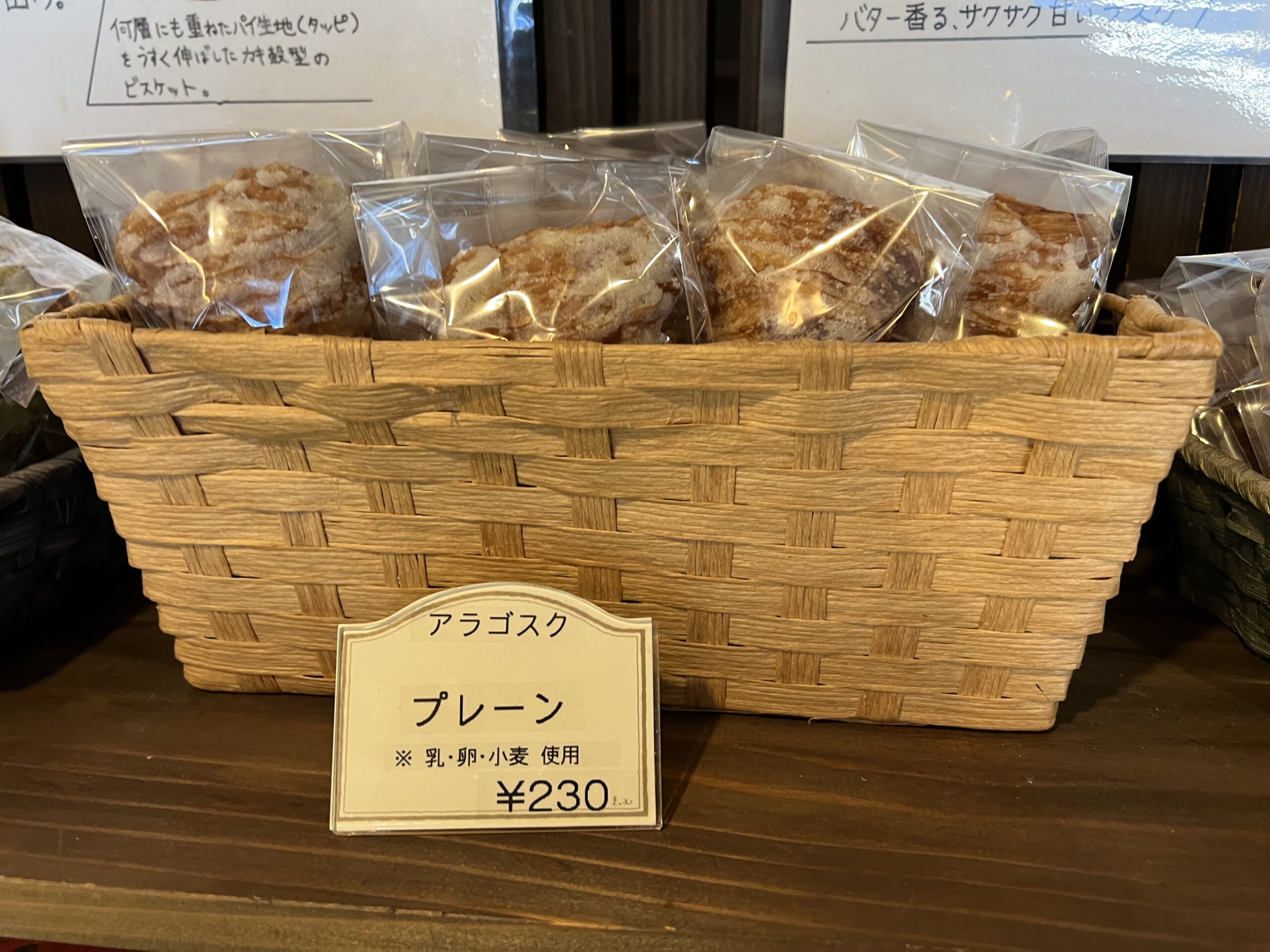 坂利太（サリータ）のアラゴスクプレーン