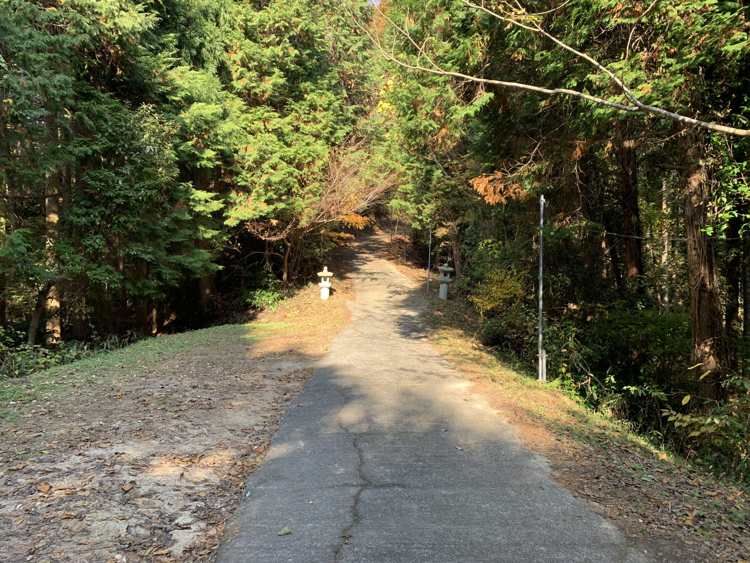 サムハラ神社 奥の宮の参道