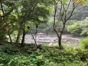 湯原温泉 木々の間から見える砂湯