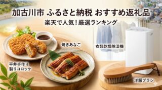加古川市ふるさと納税おすすめ返礼品ランキング楽天で人気の除湿機・コロッケ・焼あなごを厳選