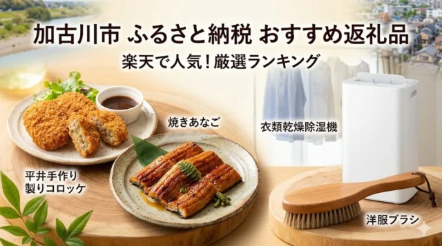 加古川市ふるさと納税おすすめ返礼品ランキング楽天で人気の除湿機・コロッケ・焼あなごを厳選