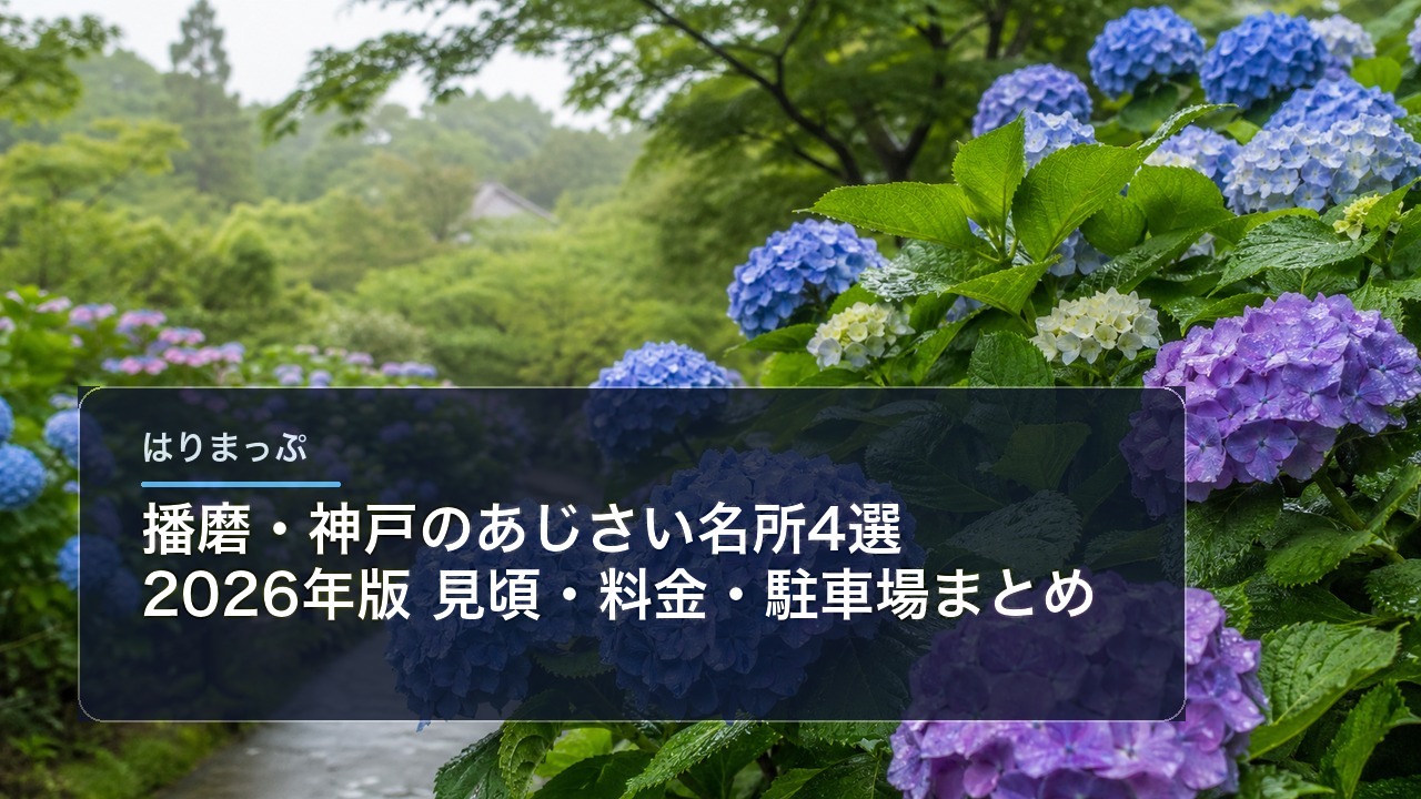 播磨・神戸のあじさい名所4選【2026年版】見頃・料金・駐車場まとめ アイキャッチ画像