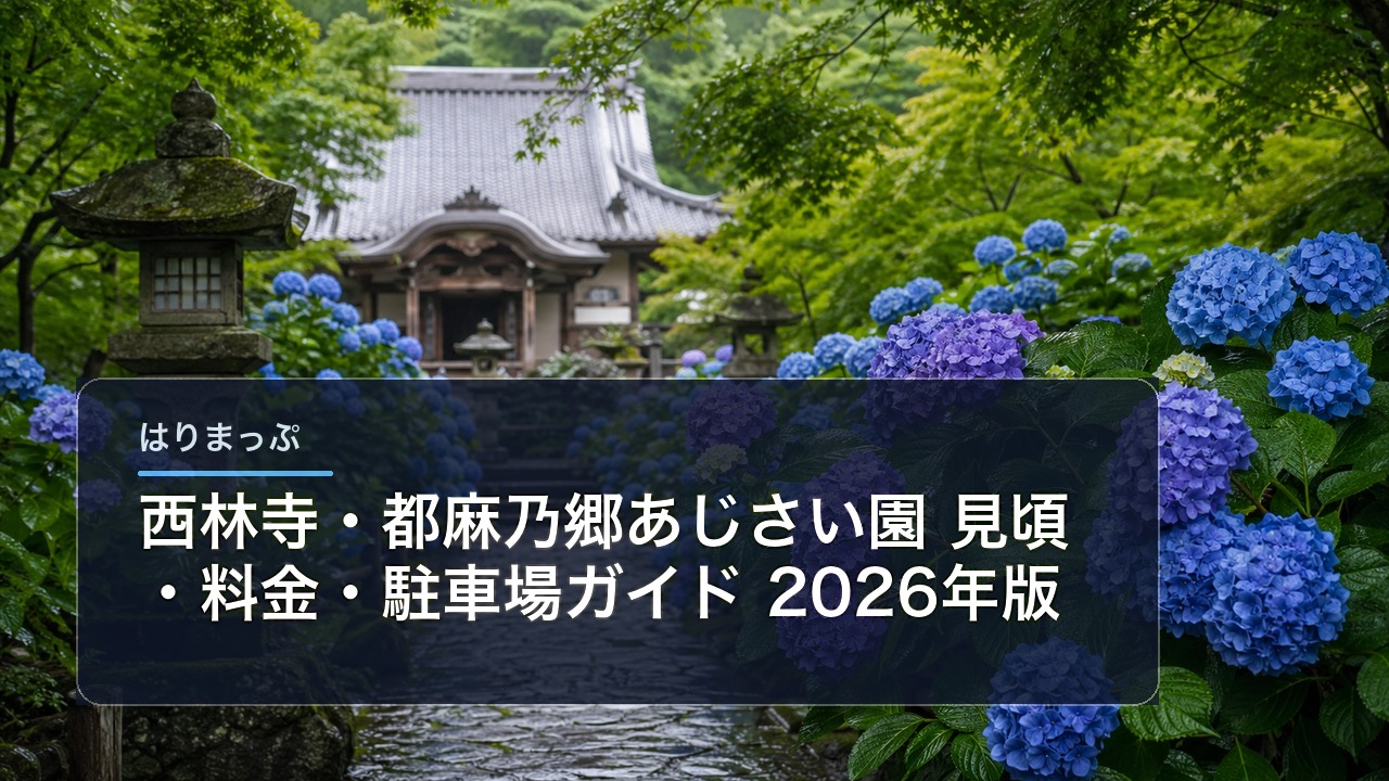 西林寺・都麻乃郷あじさい園 見頃・料金・駐車場ガイド【2026年版】 アイキャッチ画像