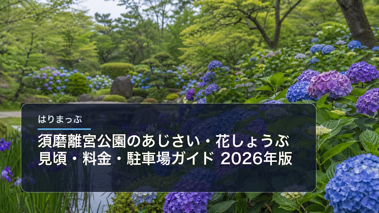 須磨離宮公園のあじさい・花しょうぶ 見頃・料金・駐車場ガイド【2026年版】 アイキャッチ画像