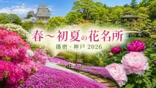 播磨・神戸の季節の花名所まとめ アイキャッチ画像