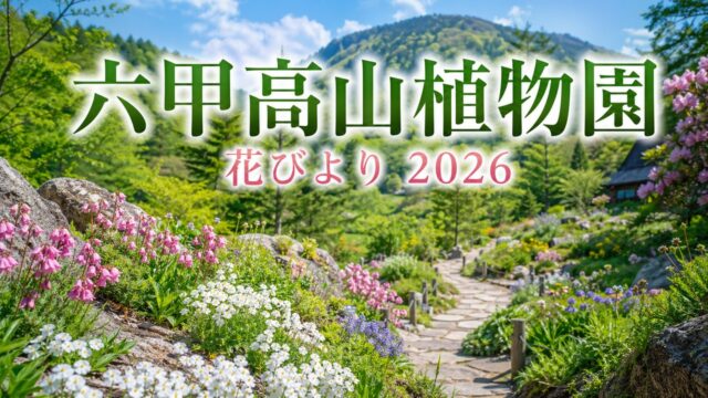 rokko-alpine-botanical-garden-hanabiyori-2026 アイキャッチ画像