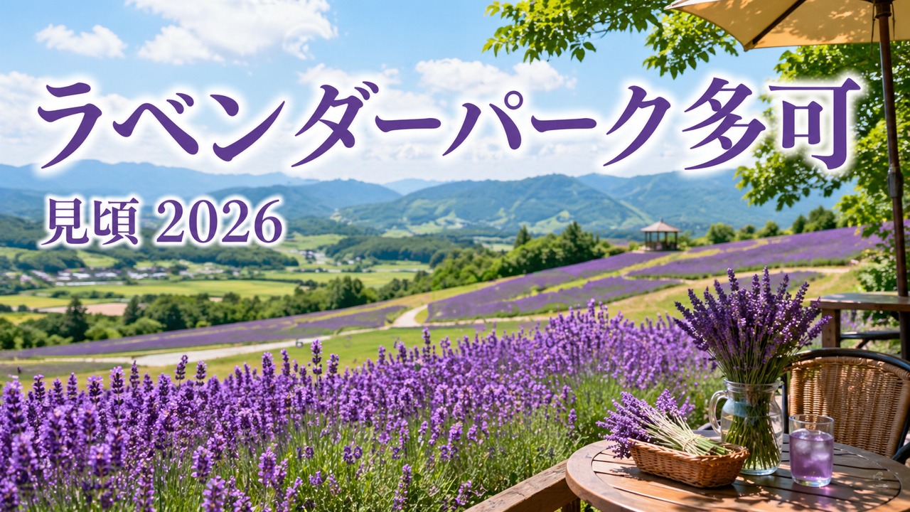 lavender-park-taka-2026 アイキャッチ画像