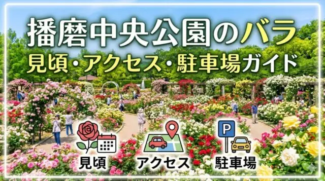 播磨中央公園のバラ 見頃・アクセス・駐車場ガイドのアイキャッチ画像