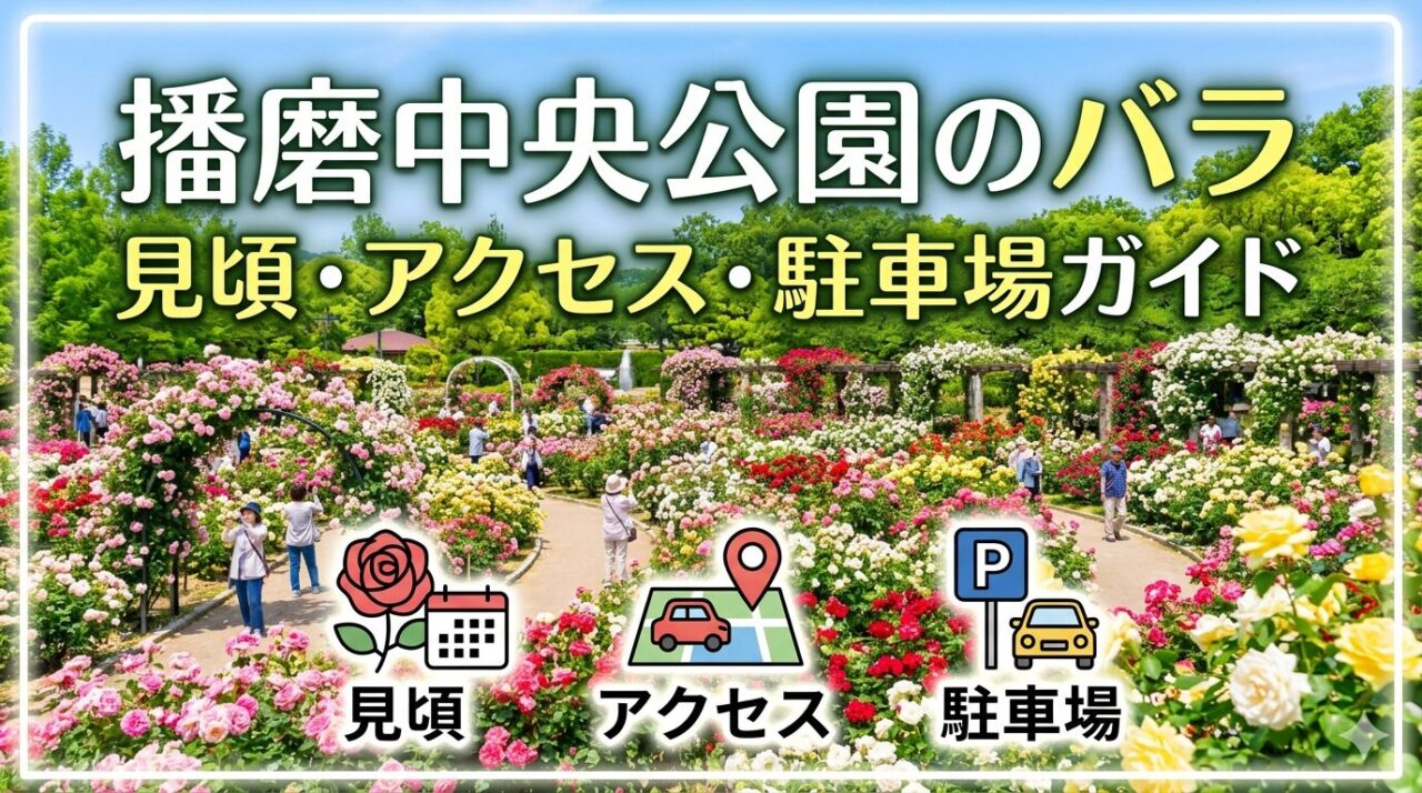 播磨中央公園のバラ 見頃・アクセス・駐車場ガイドのアイキャッチ画像