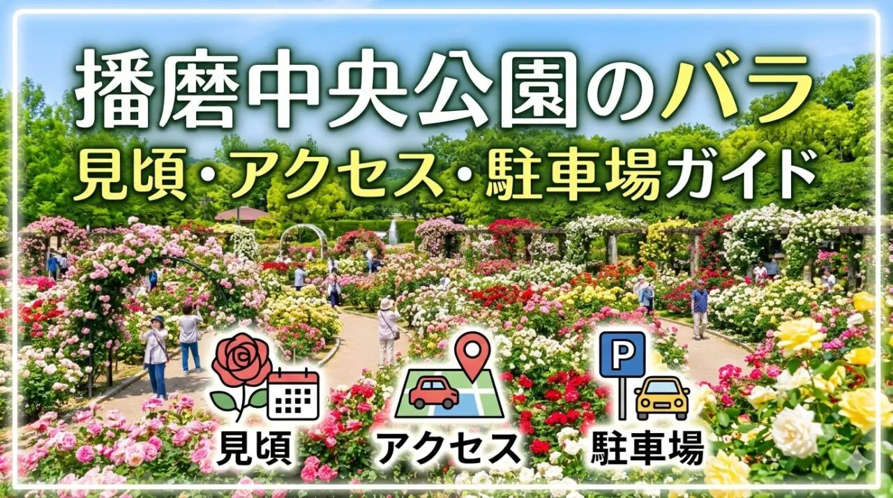 播磨中央公園のバラ 見頃・アクセス・駐車場ガイドのアイキャッチ画像