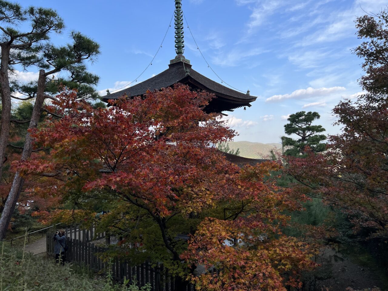 常寂光寺の境内11