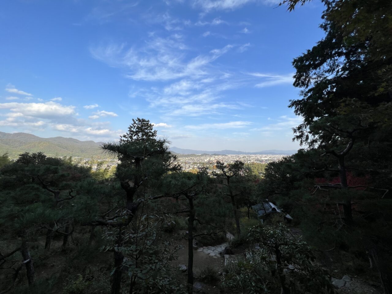 常寂光寺の境内17