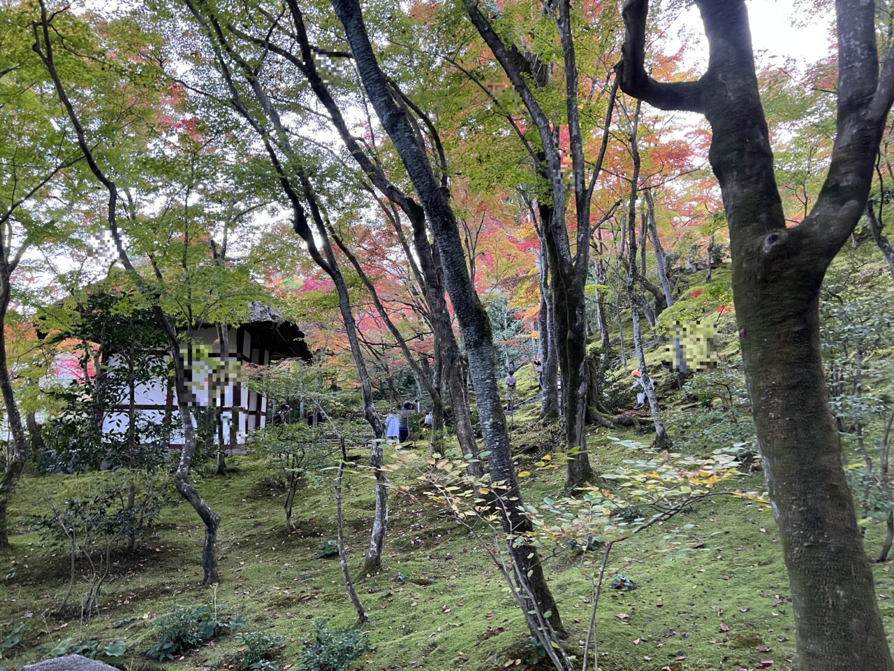 常寂光寺の境内19