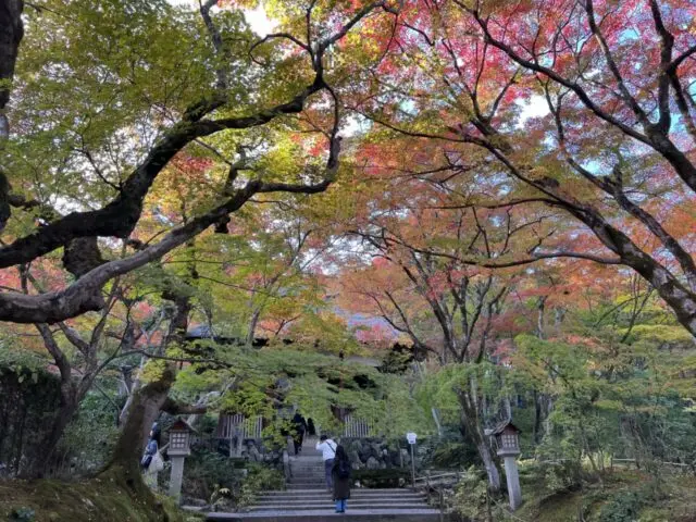 常寂光寺の境内2