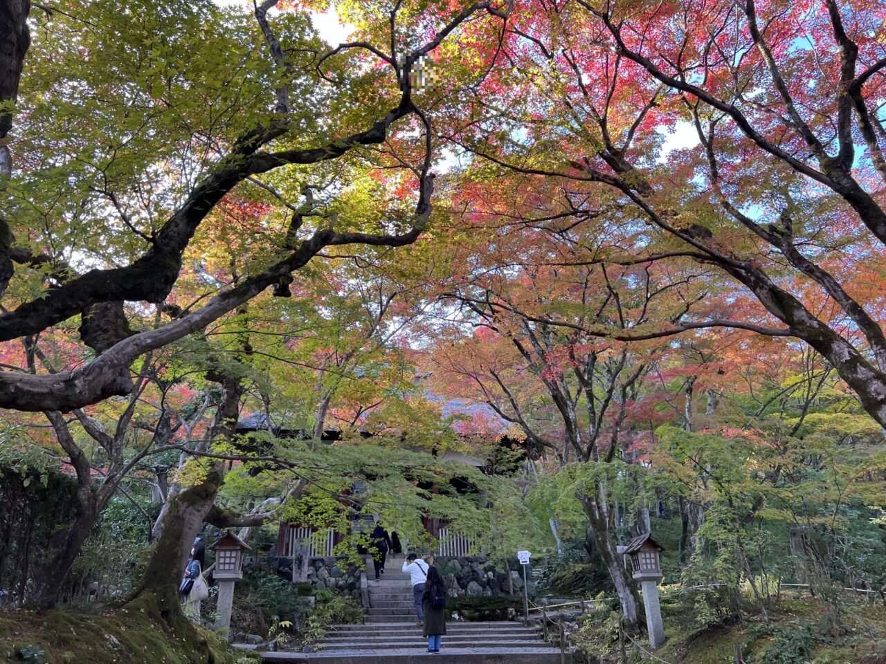常寂光寺の境内2