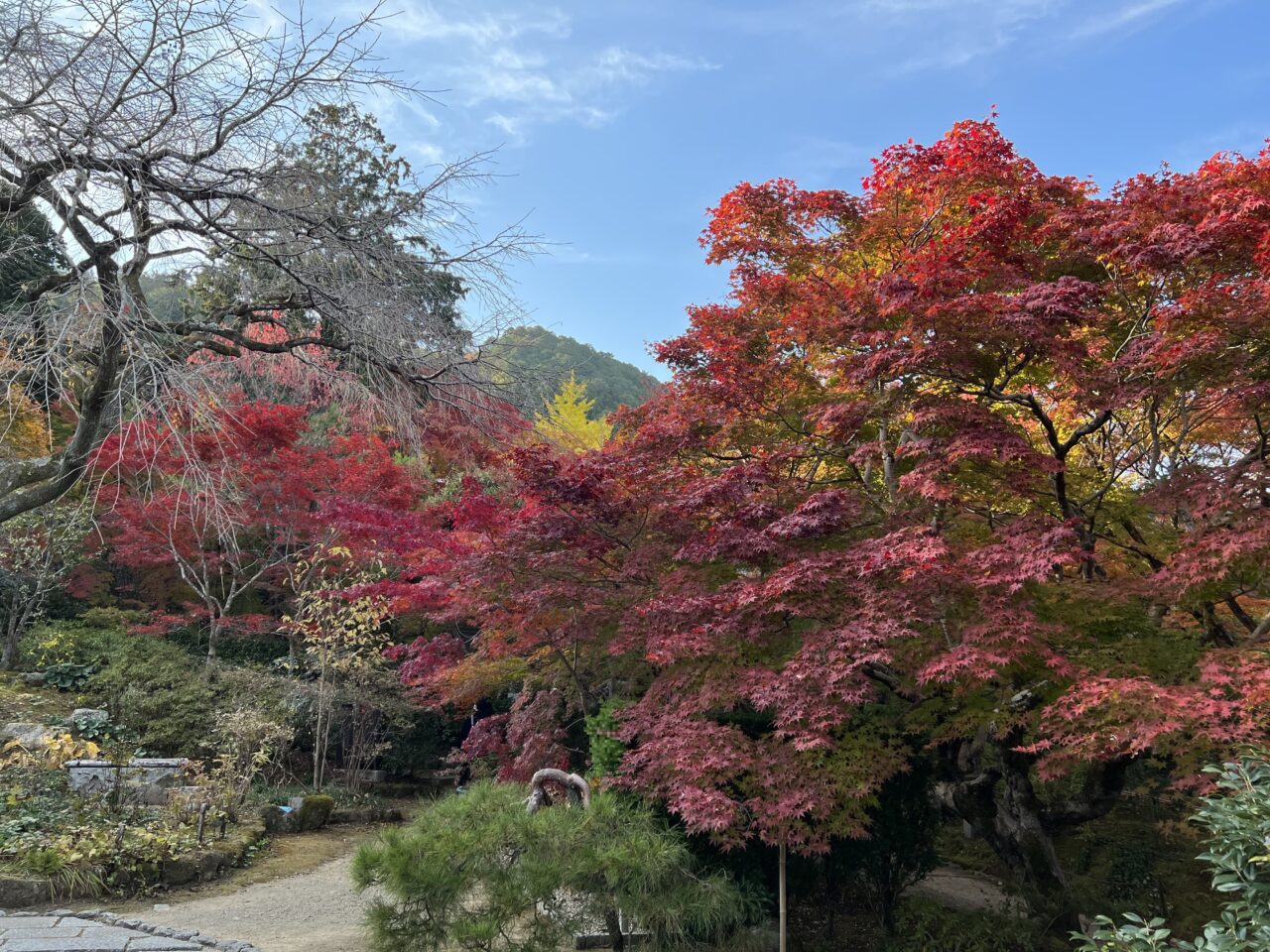 常寂光寺の境内5