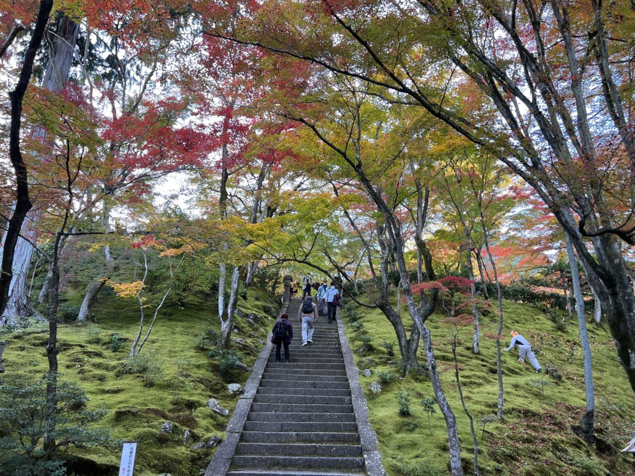 常寂光寺の境内7