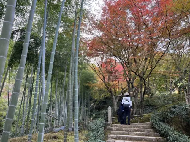 常寂光寺の境内9