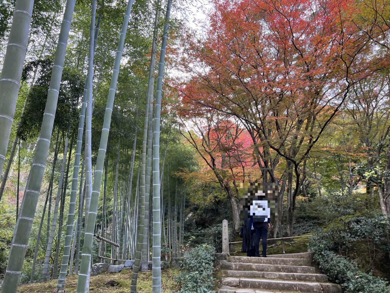常寂光寺の境内9