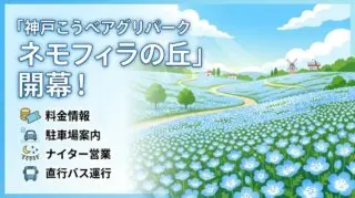 こうべアグリパーク ネモフィラの丘2026は見頃｜GWナイター・料金・駐車場まとめ