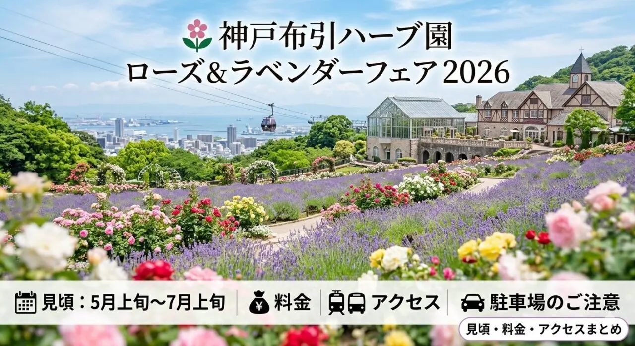 神戸布引ハーブ園のバラ 見頃・アクセス・ロープウェイ情報【2026年版】 アイキャッチ画像