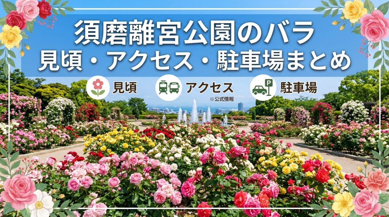 須磨離宮公園のバラ 見頃・アクセス・駐車場ガイド【2026年版】