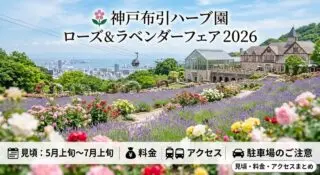 神戸布引ハーブ園のバラ 見頃・アクセス・ロープウェイ情報【2026年版】 アイキャッチ画像
