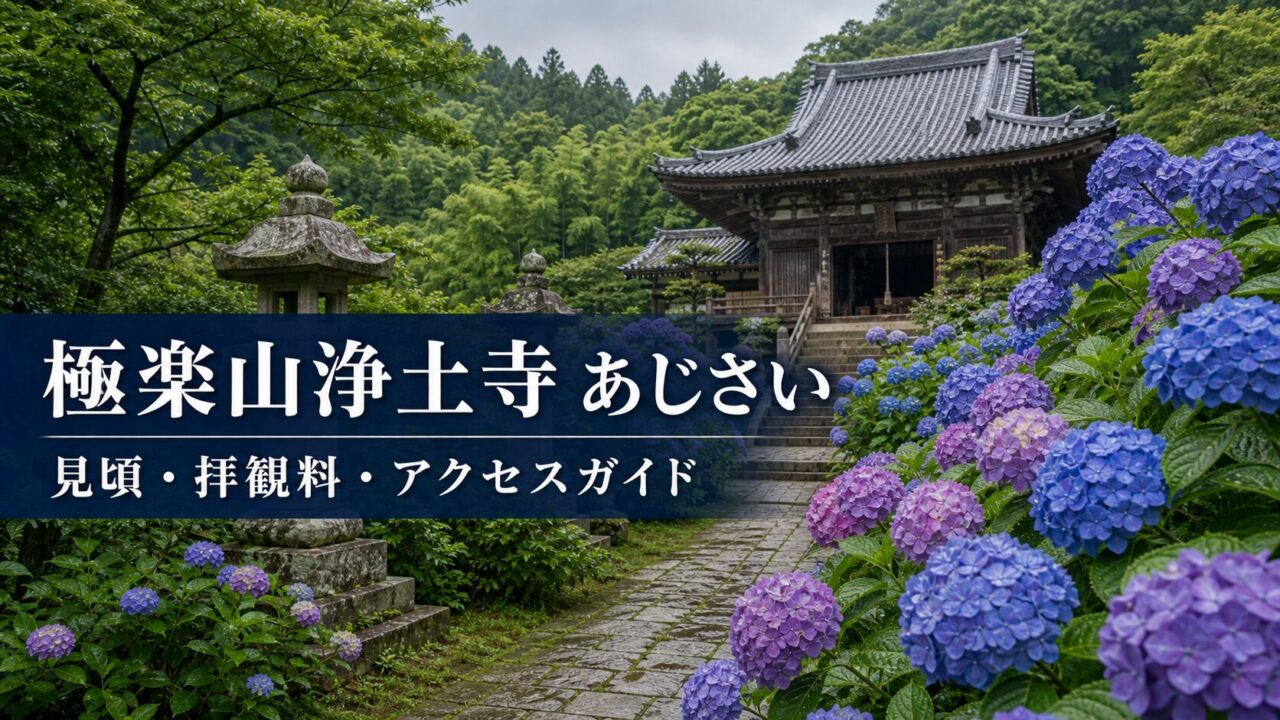 極楽山浄土寺のあじさいと見頃・拝観料・アクセスガイドのアイキャッチ