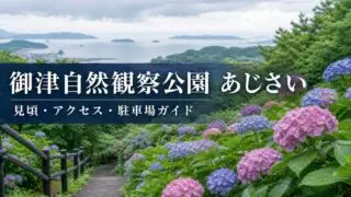 御津自然観察公園のあじさいと見頃・アクセス・駐車場ガイドのアイキャッチ
