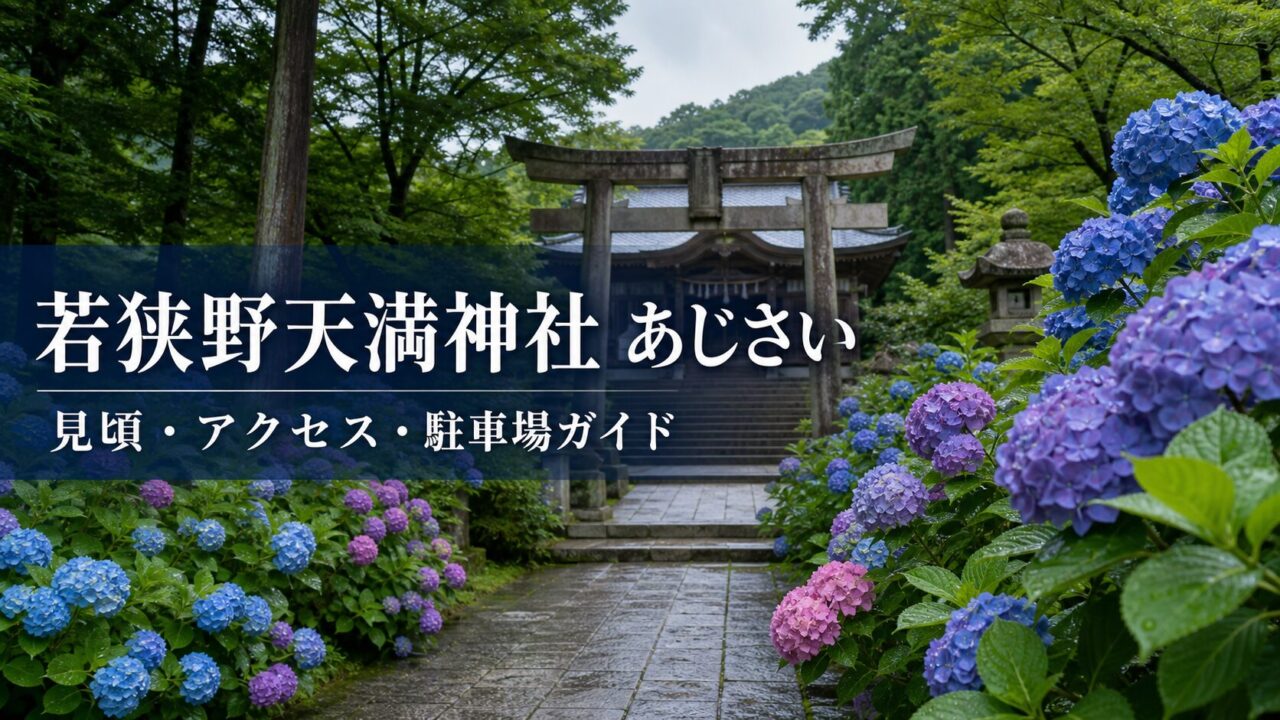 若狭野天満神社のあじさいと見頃・アクセス・駐車場ガイドのアイキャッチ