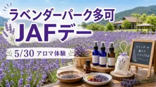 lavender-park-taka-jaf-day-20260530 アイキャッチ画像