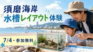 suma-beach-aquarium-layout-20260704 アイキャッチ画像