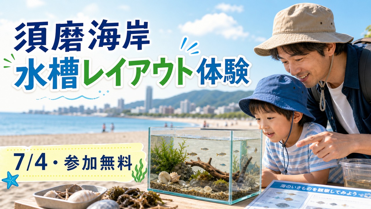 suma-beach-aquarium-layout-20260704 アイキャッチ画像