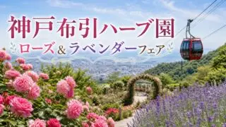 kobe-nunobiki-rose-lavender-fair-2026 アイキャッチ画像